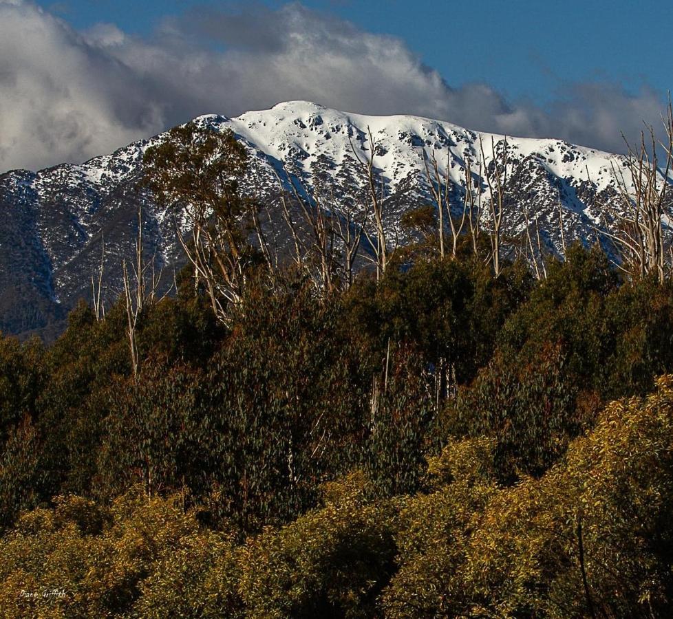 Snow View Holiday Units Mount Beauty Εξωτερικό φωτογραφία